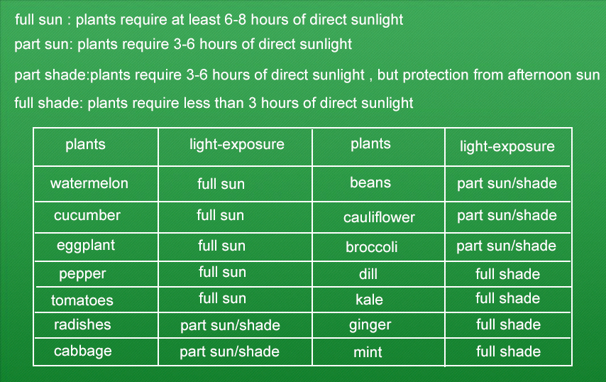 vegetable and light exposure types