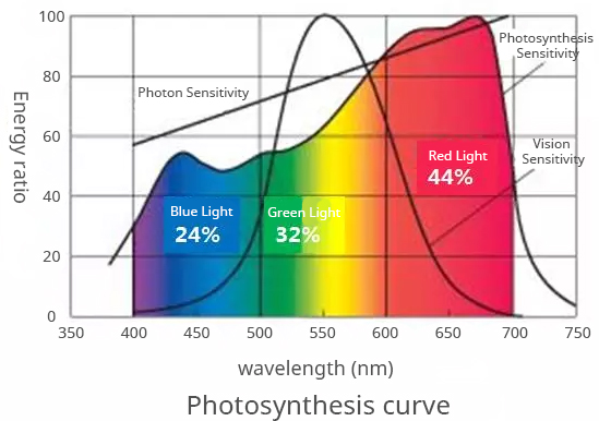 par photosynthesis