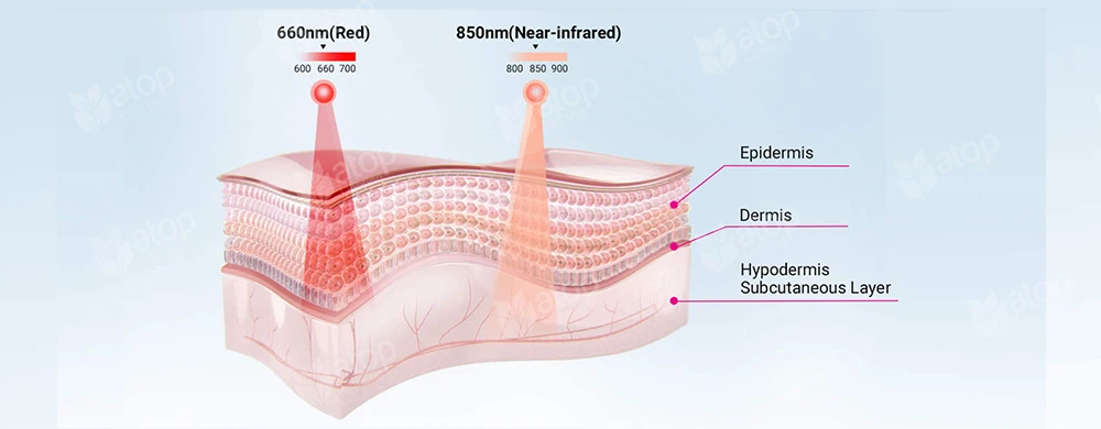 red light and near infrared light on skin
