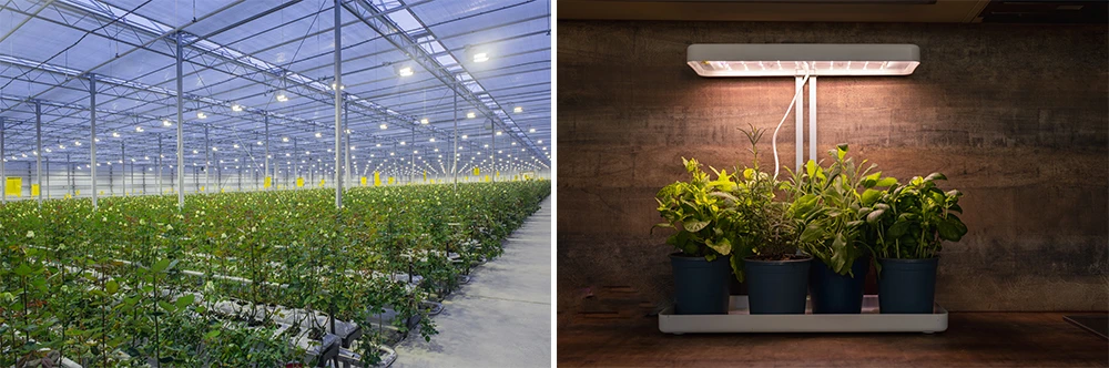 commercial grow light vs home grow light