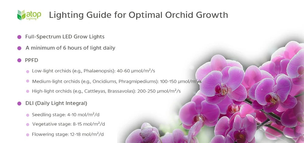 lighting guide for optimal orchids growth with LED grow light