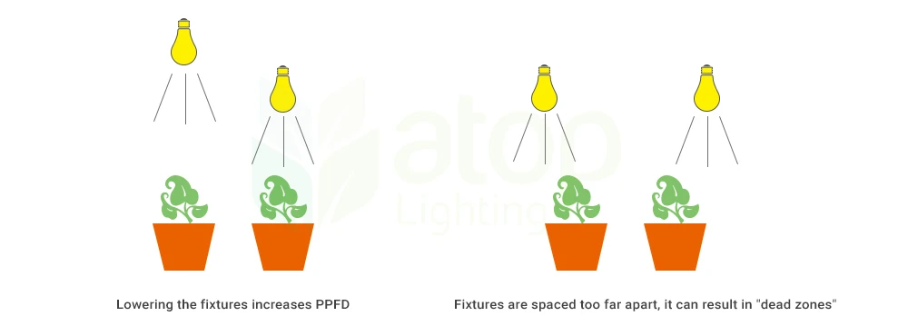 grow lighting layout affect PPFD and DLI