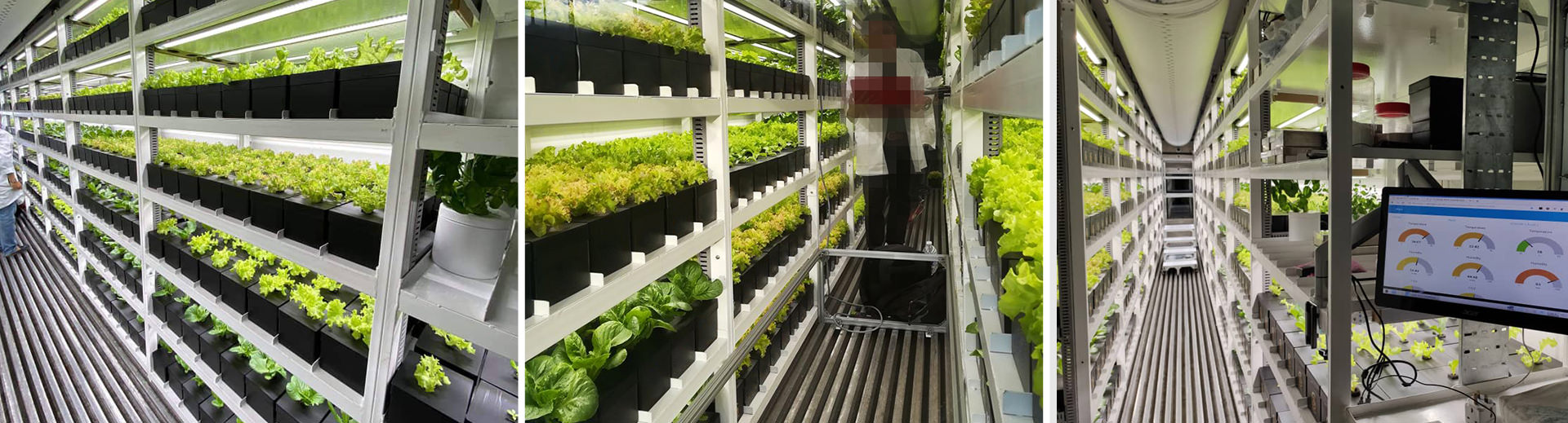 Atop Hydroponics Grow Lights applications