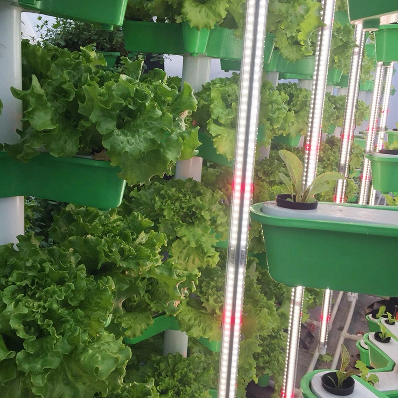 Leafy Greens LED Grow Light