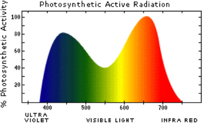 Full Spectrum LED Grow Lights - Atop