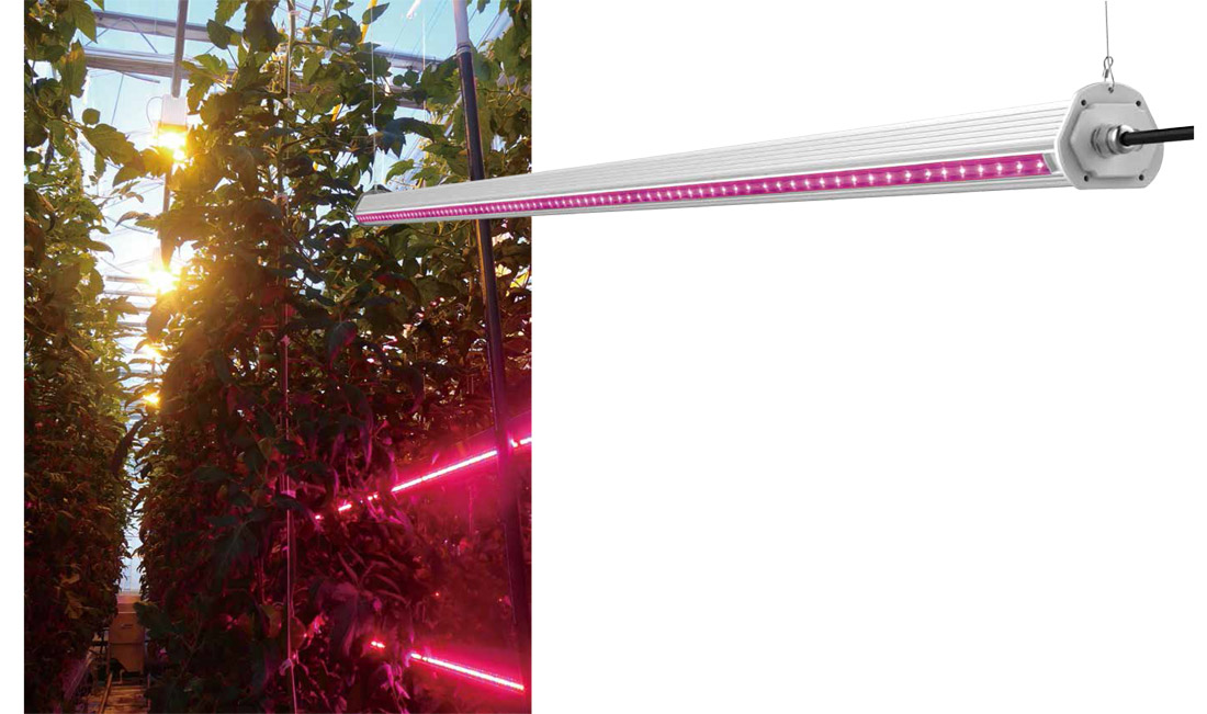 E-Version Horti-Bar LED Grow Light