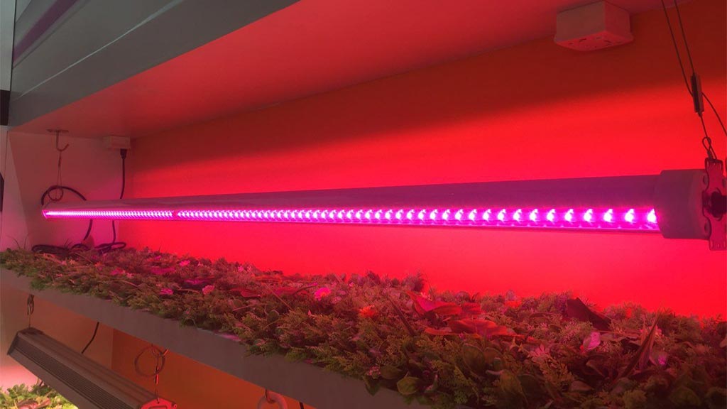 Atop t8 LED grow light tubes