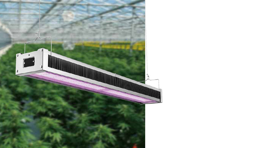 Horti-King LED Grow Light - Atop Horticulture Lighting