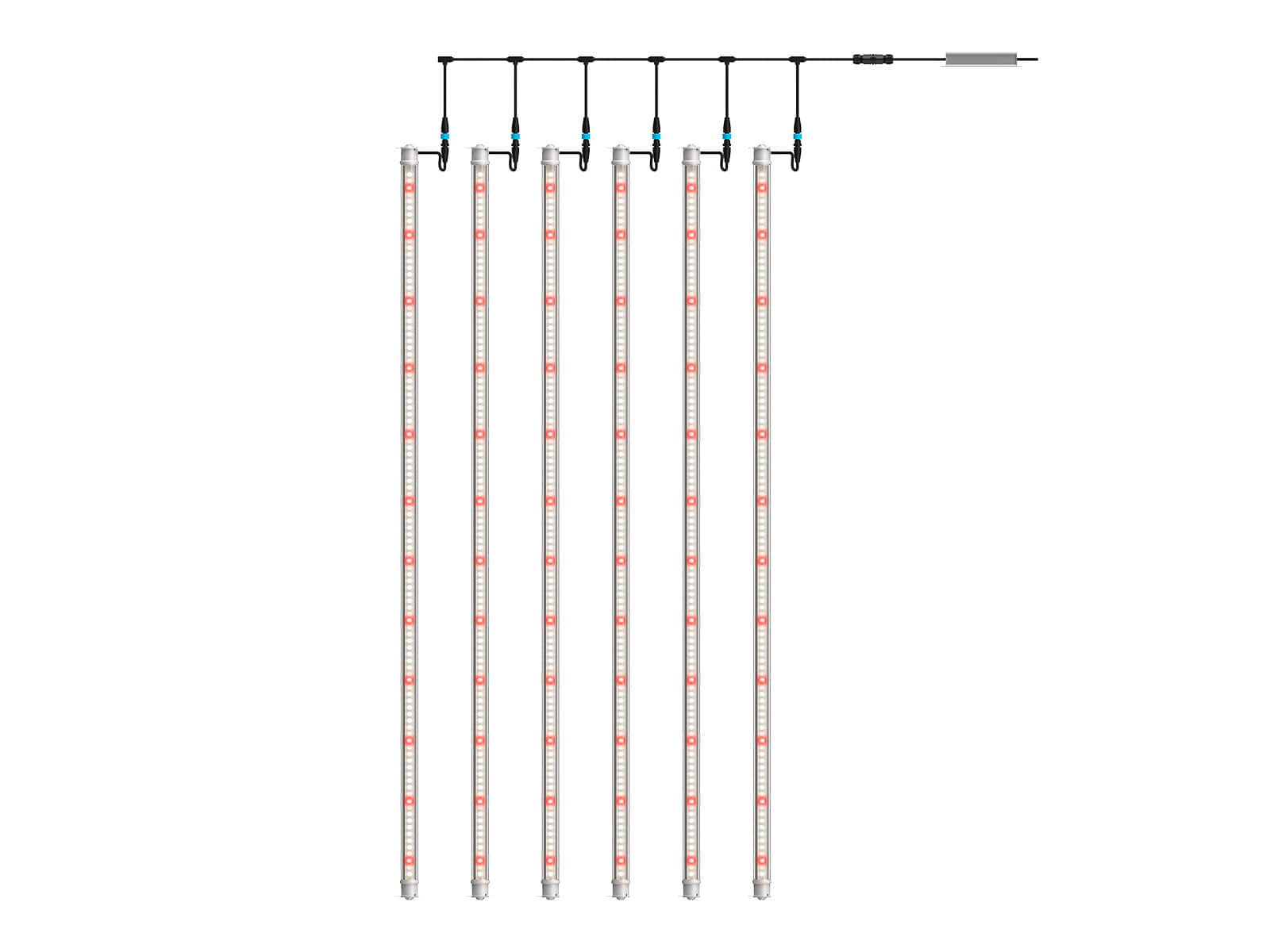 Four sides Double sides LEDs Options grow light