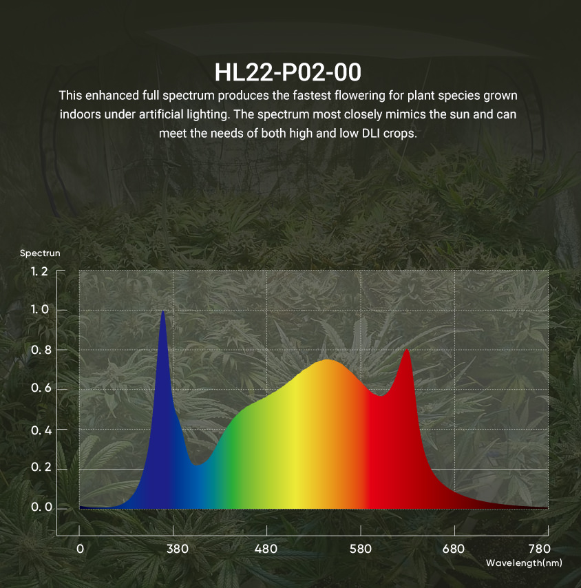 HL22 P02 00 full spectrum