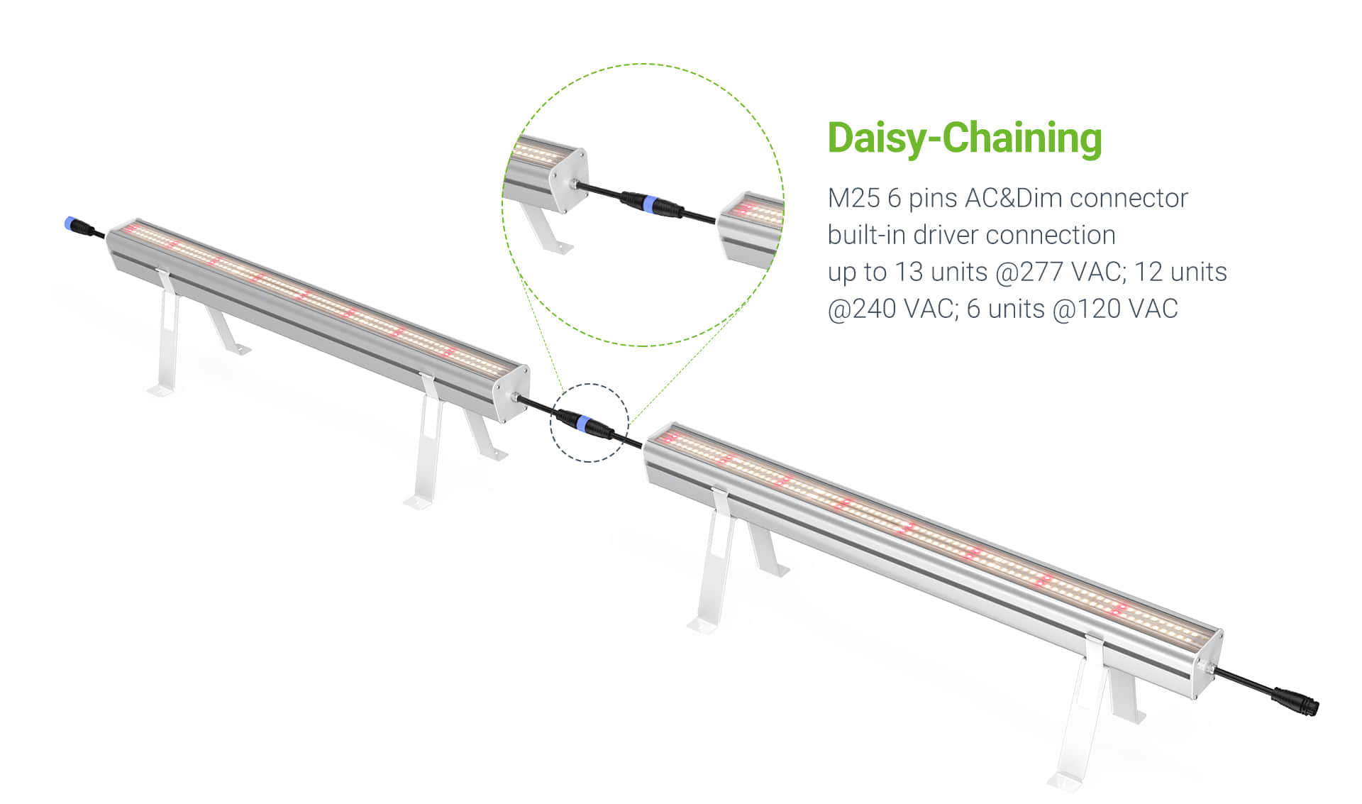 HL40 grow light with Daisy Chaining_05