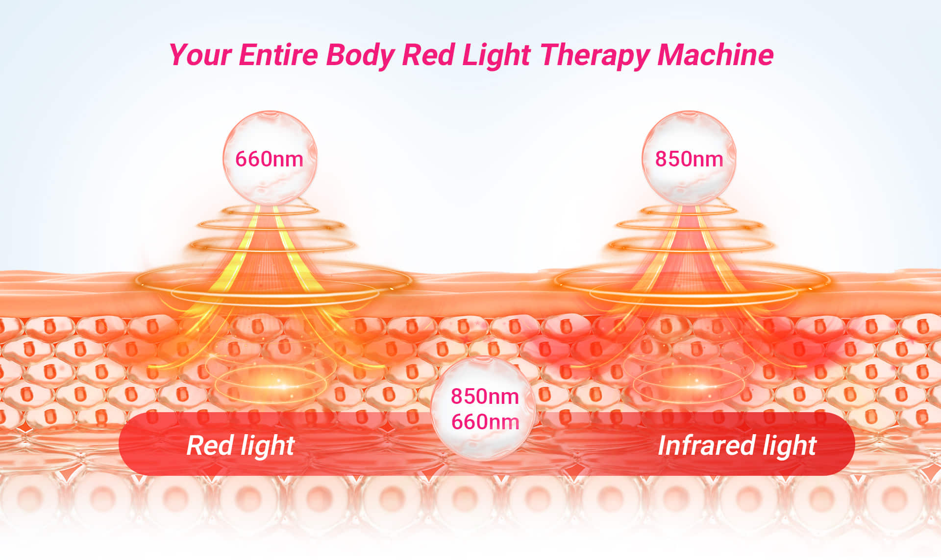 RLA0 Infrared Light Red Light Therapy_06